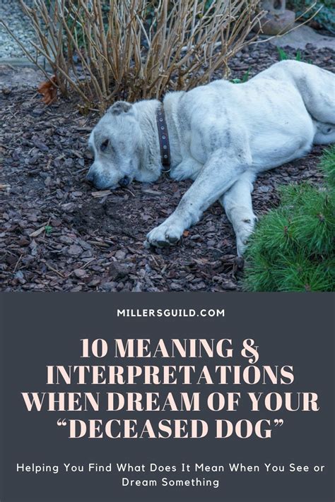 Guided Reflection: Exploring the Rebirth of a Deceased Canine in Your Dreams