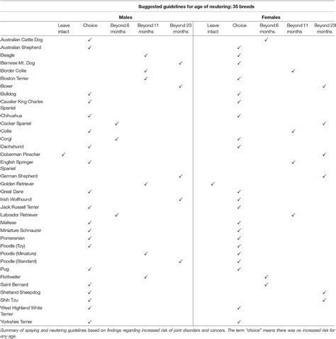 Guidelines for Assisting Puppies in Dealing with Coal-colored Fantasies and Associated Challenges