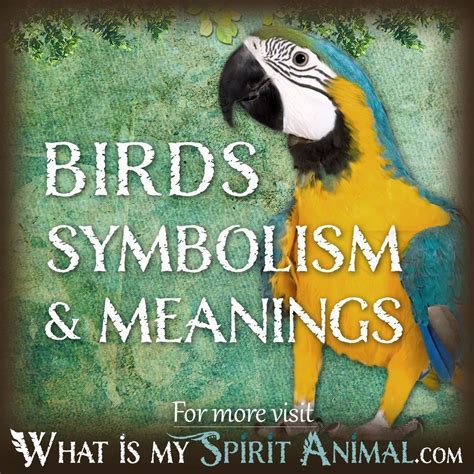 Harnessing the Power of Avian Symbolism in Real Life