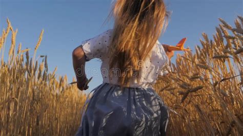 Harvested, Yet Not Forgotten: The Untold Stories of a Dreaming Wheat Field