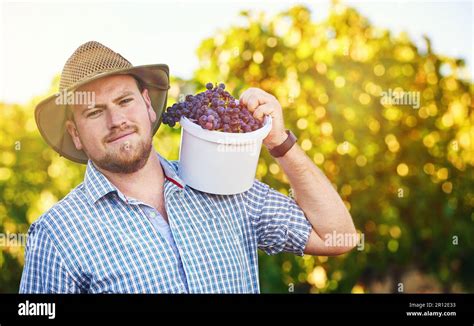 Harvesting and enjoying the fruits of your labor