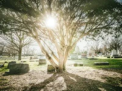 Healing and Transformation: Unveiling the Potential of Cemetery Dreams in Guiding Personal Growth