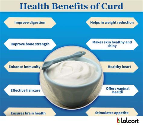 Health Benefits of Incorporating Curds into Your Diet