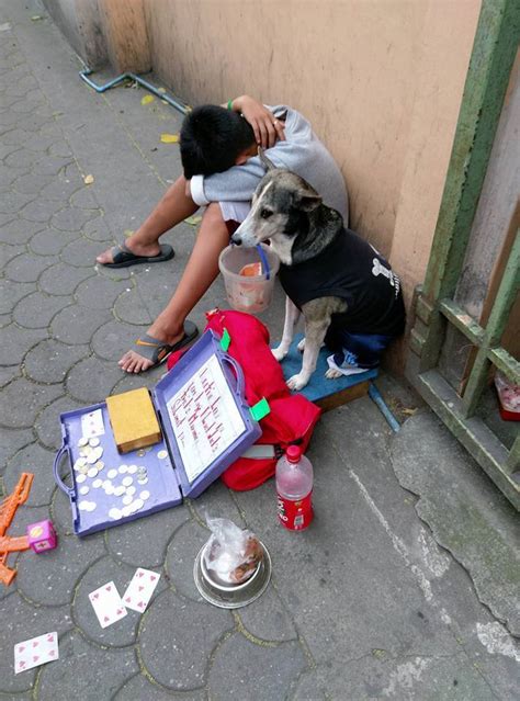 Heartwarming Connection: The Unforgettable Bond That Formed with the Fiery-Haired Pup