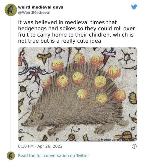 Hedgehogs in Folklore and Mythology