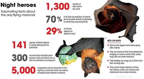 Highlighting the ecological significance of bats and their role in maintaining balance in nature