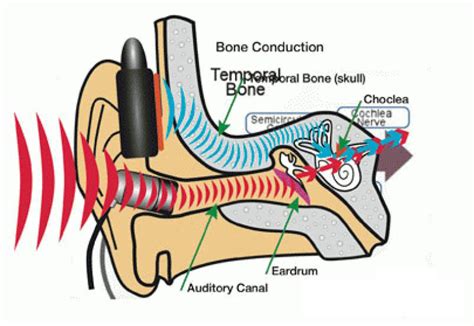 How Bone Conduction Headphones Function