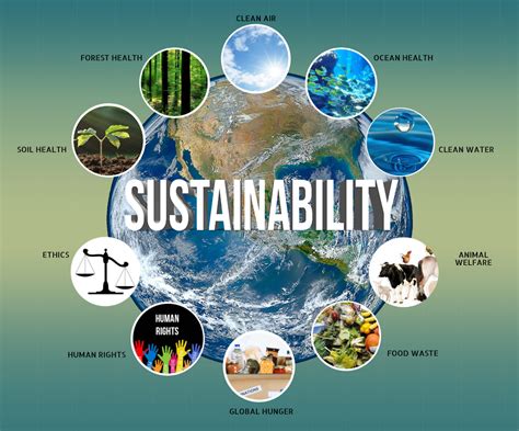 How Sustainable Practices Benefit Our Planet