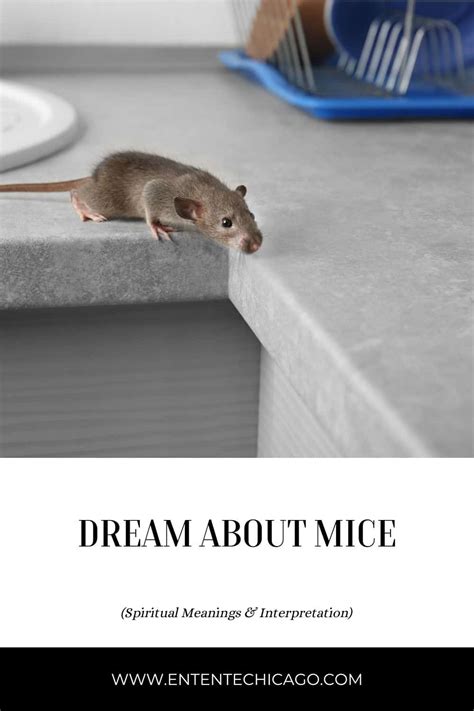 How to Analyze the Various Contexts of Dreaming about Mice