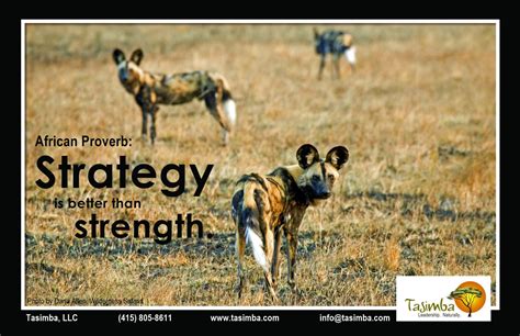 Hunting Strategies: Cooperation and Collaboration