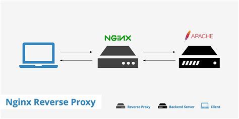 Implementing Reverse Proxy with Nginx for Efficient Resource Management