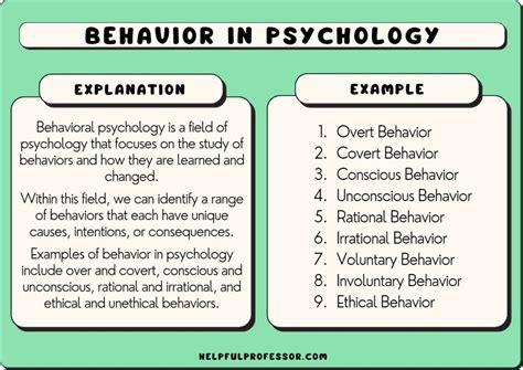 Implications of Beaver Reveries on Human Psychology and Behavior