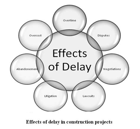 Implications of a Delayed Debut for Developers and Users