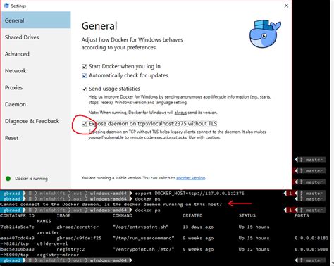 Importance of TCP Listening in Docker on Windows