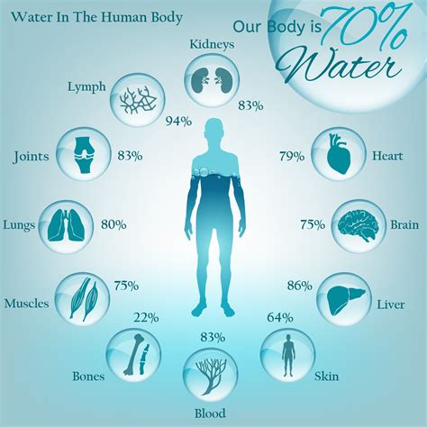 Importance of Water in Daily Life