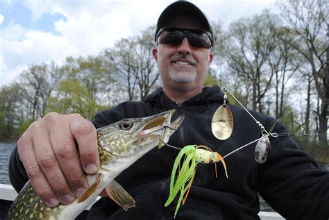 Important Safety Measures for Pursuing the Elusive Pike