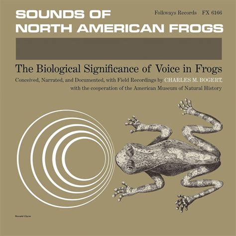 In the Realm of Melodies: The Unique Serenades of Frogs and Toads