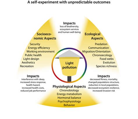 Influence of environmental lighting conditions