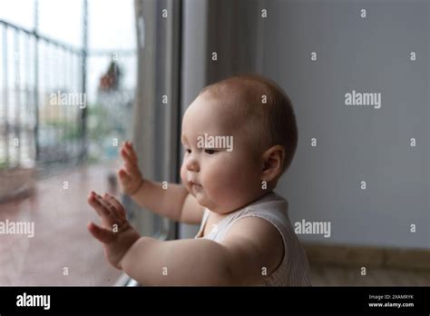 Innocence and Wonder: Exploring the World Through the Eyes of a Charming Bear Cub