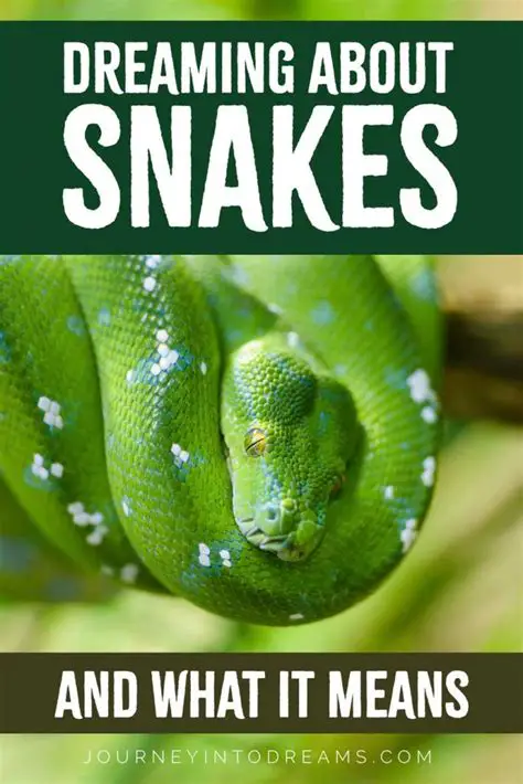 Insights into the Cultural Significance of Python Snakes in Dream Interpretation