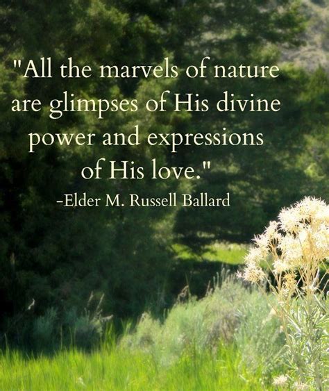 Inspiration from the Marvels of Nature