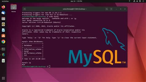 Installing MySQL on a Linux Server