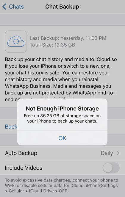 Insufficient Storage Space: A Hindrance to WhatsApp Functionality on iPhone 11