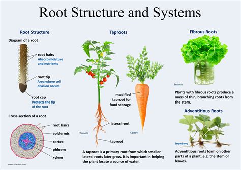 Internal components: Exploring the root of the issue