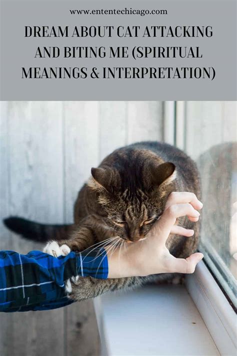 Interpretation of a Dream: Feline Offspring in a Gentleman's Vision