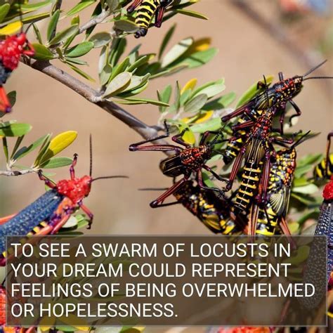 Interpretations and Symbolism of Locust Swarms in Dreams