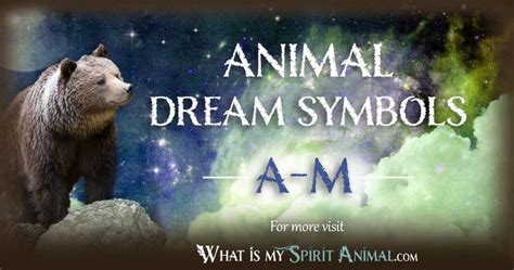 Interpretations of Animal Symbols in Dreams