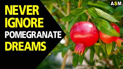 Interpretations of Dreams Involving a Pomegranate Orchard