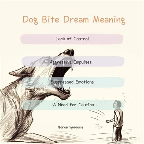 Interpreting Different Scenarios of Canine Dreams for Females