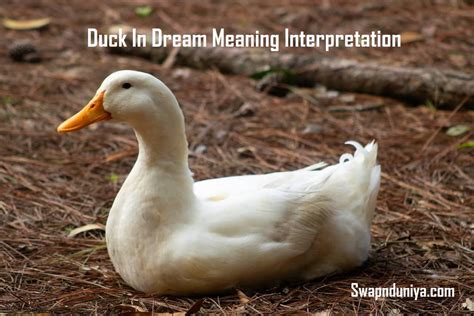 Interpreting Dreams about Ducks and Ducklings