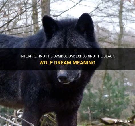 Interpreting Dreams of Black Wolves: Fear or Power?