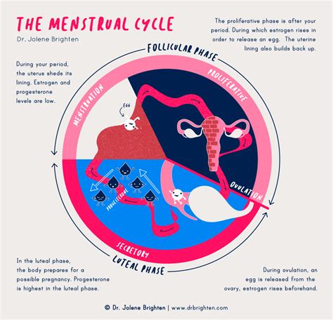 Interpreting Dreams of Blood During the Menstrual Cycle