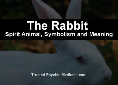 Interpreting Rabbit Meat as a Symbol of Abundance and Fertility
