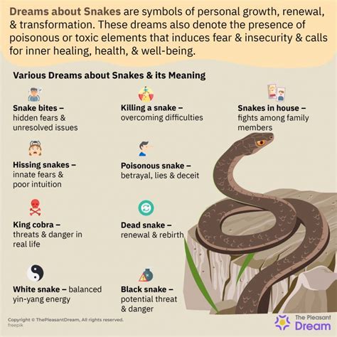 Interpreting Snake Dreams: Exploring the Possible Significance and Concealed Messages for Women