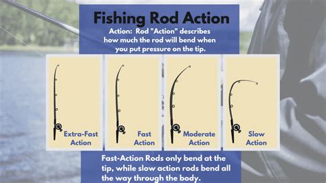 Interpreting the Actions: What Does Fishing Represent?