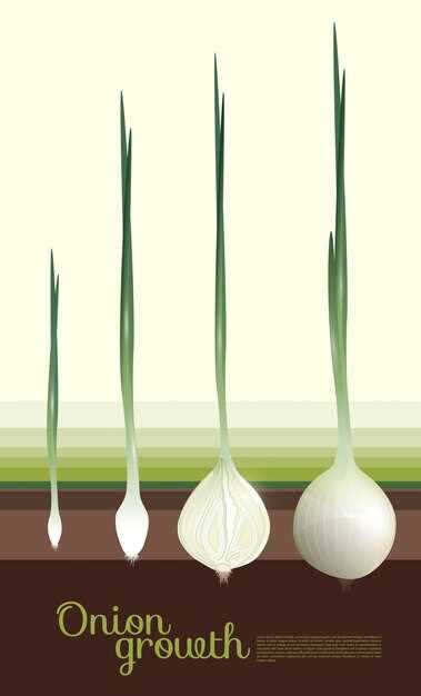 Interpreting the Green Onion as a Symbol of Growth and Renewal