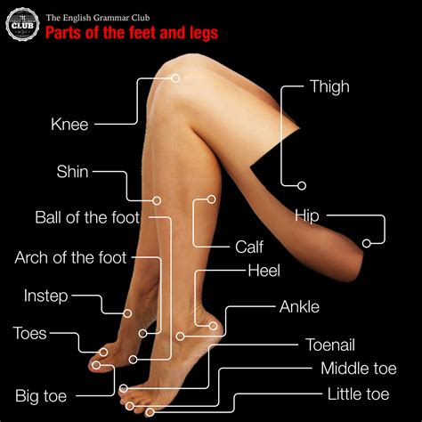 Interpreting the Specific Body Part: The Leg