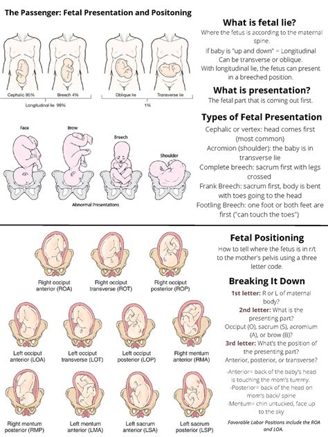 Interpreting the Symbolism Behind Various Types of Fetal Movements