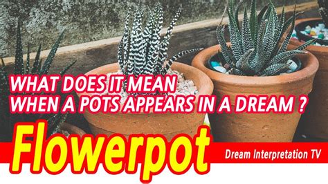 Interpreting the Symbolism of a Flower Pot in Dreams