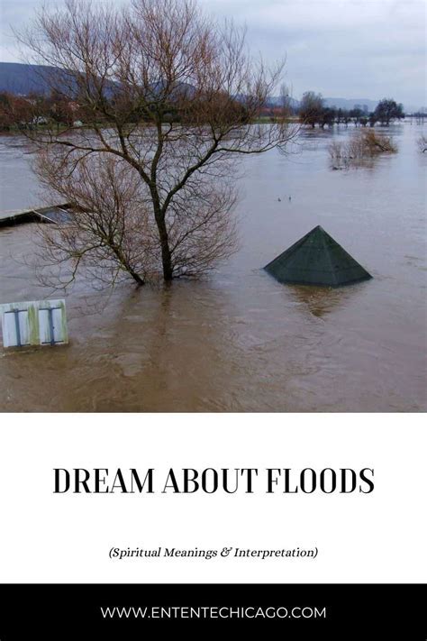 Interpreting the Various Scenarios in Apartment Flood Dreams