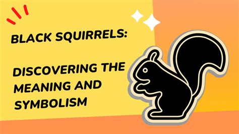 Interpreting the Various Symbolic Associations of Black Squirrels