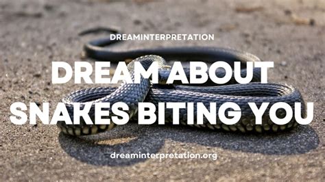 Interpreting the act of biting in the context of dream symbolism