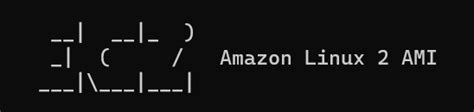 Introduction: Unveiling Amazon Linux 2 AMI MOTD