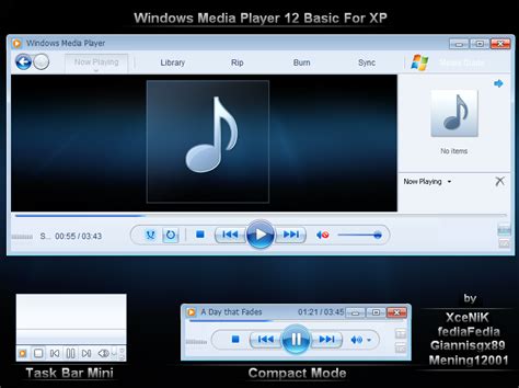 Introduction to Windows Media Player and its functionalities