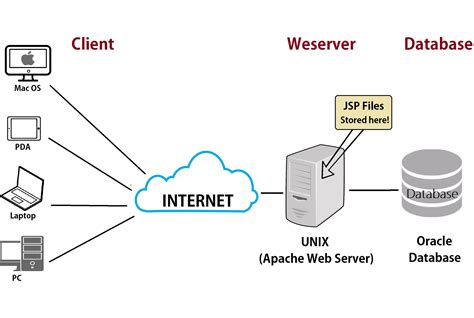 Introduction to the World of Web Servers