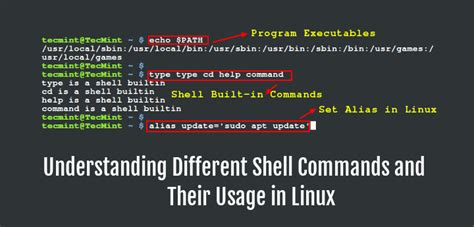 Investigating the Distinct Categories of Shell Command Parameters